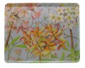 Frangipani Tray V3