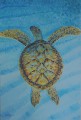 Gliding in the Shallows by Sue Trew