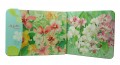 Placemats Medium Set/2 - Hibiscus and Orchid