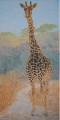 Giraffe Camouflage by Sue Trew