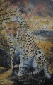 Cheetah by Holly Trew