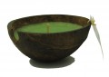 Coconut Candle Half Green