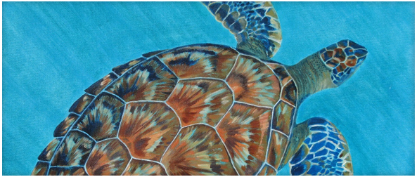 Standard_print_turtle.jpg Standard_print_turtle.jpg