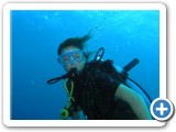 Explore Barbados underwater!