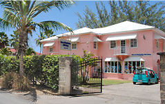 Southern Palms